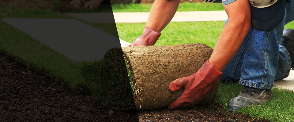 Pennington Landscapers